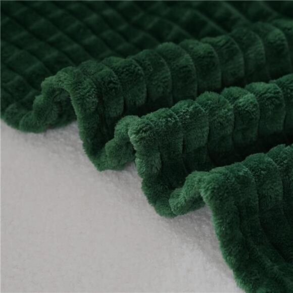 Green Throw Blanket 50"×60" Decorations Fleece Super Soft Plush Fuzzy Cozy Blank - Picture 5 of 7